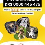 1,5 % podatku na rzecz Fundacji Sarigato